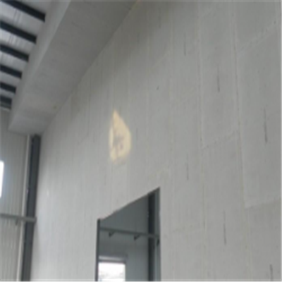 攀枝花宁波ALC板|EPS加气板隔墙与混凝土整浇联接的实验研讨